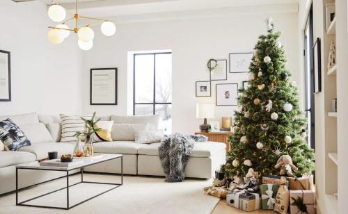 a living room with a christmas tree and a couch at Asuncion Apartment for Rent 