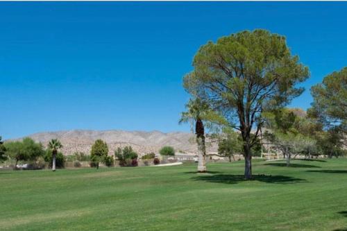 a tree in a field with mountains in the background at Spacious house with pool at Mission Lake in Desert Hot Springs