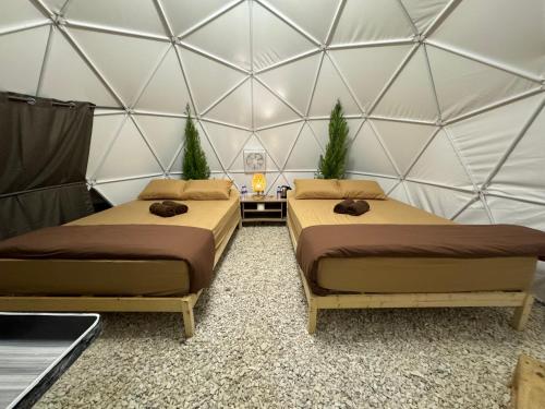 zwei Betten in einem Iglu mit Pflanzen darin in der Unterkunft Gold Crest Cameron Highlands in Tanah Rata