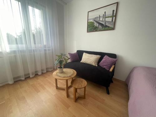 a living room with a couch and a table at Apartamenty Vega in Charzykowy
