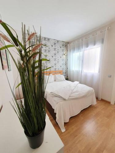 Modern apartment a few minutes to the center - TriP