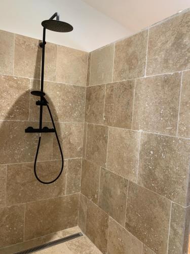 a shower with a shower head in a bathroom at Les Séchoirs in Clairac