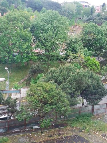 un grupo de árboles frente a una valla en Miracle HYLen Hotel, en Estambul