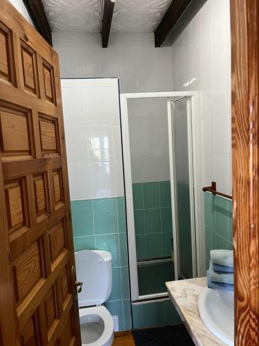a bathroom with a toilet and a shower and a sink at Posada -Meson la gándara 