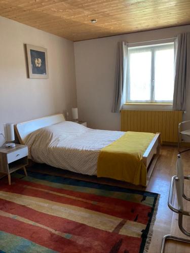 - une chambre avec un lit, une fenêtre et un tapis dans l'établissement Doupassage, à La Châtelaine
