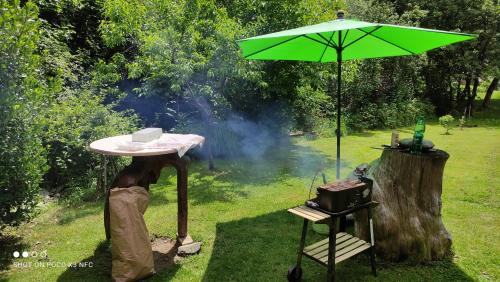 a table with a green umbrella and a grill at Domačija Markc in Železniki