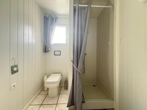 a bathroom with a toilet and a shower with a window at L'Ariade in Monpazier