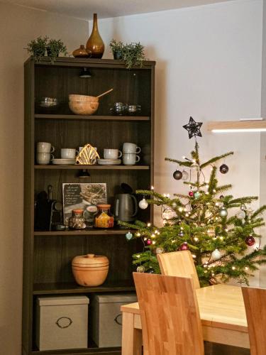 Dapur atau dapur kecil di Grünseeappartement