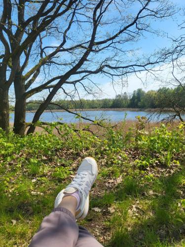 a persons shoe sitting on the grass near a lake at Przystań Natura Apartamenty nad rzeką, cisza i rowery in Iława