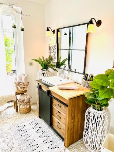a kitchen with a sink and two vases with plants at Relaxen am Wald in Stephanshausen in Stephanshausen