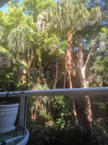 a view of a palm tree from a balcony at Your Coral Coast Resort Inn in Palm Cove