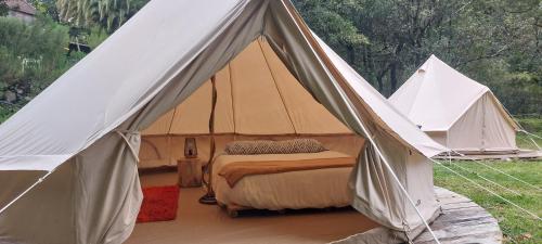 biały namiot z łóżkiem w obiekcie Nature Retreat - Laurel Forest w mieście Seixal