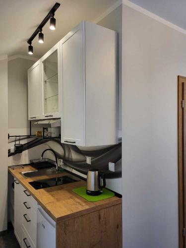 Η κουζίνα ή μικρή κουζίνα στο Apartament Słoneczny