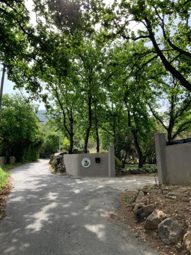 a road with trees and a monument in the middle at U FARNIENTE in Patrimonio