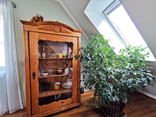 a wooden cabinet with a plant in a room at BohnApartments Bauhaus - absolutes Zentrum - Terrasse - Vollausstattung - WLAN in Weimar
