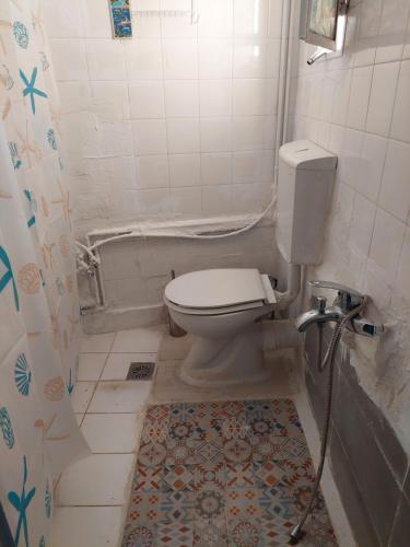 a bathroom with a toilet and a shower at ACROPOLIS ViEW MIXED DORMITORIES 1 MINUTE BY THISSIO METRO STOP in Athens