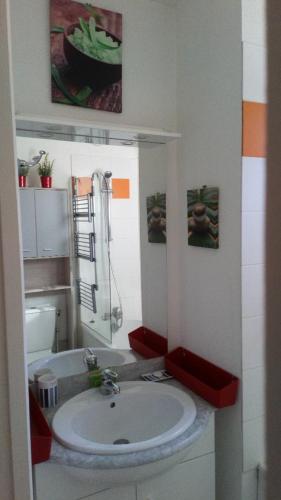 une salle de bain avec un lavabo et une douche dans l'établissement Reflets montagnards, à Vignec