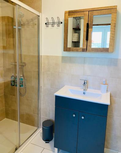 a bathroom with a blue sink and a shower at La Sellerie at No 17 in Le Dorat