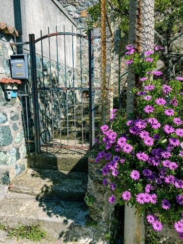 a gate with purple flowers in front of it at Il Nido sullo Scoglio in Bonassola