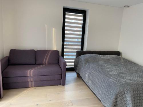 a bedroom with a bed and a couch and a window at Ievos apartamentai in Pervalka
