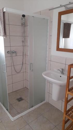 y baño con ducha y lavamanos. en Ubytování Frahelž, en Frahelž