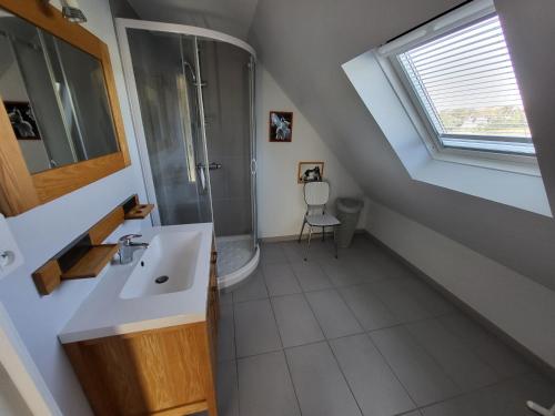 Primelin的住宿－625-VIlla Penzer pour surfer a St Tugen，一间带水槽和淋浴的浴室