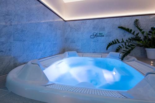 un jacuzzi en un baño con una planta en Hotel Gounod, en Niza