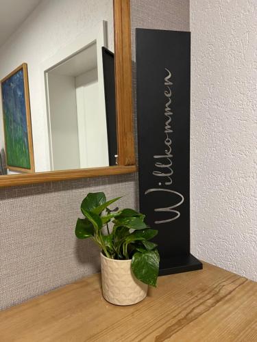 a plant sitting on a shelf next to a mirror at Ferienwohnung Kempkens -Hochwertig & modern in Straelen