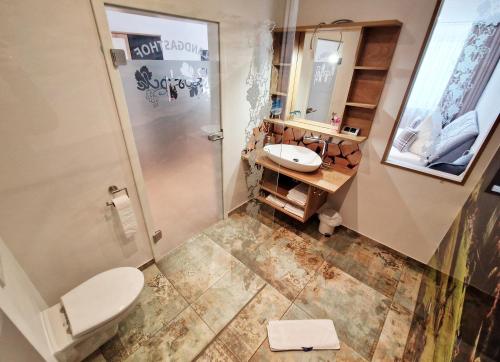 a bathroom with a toilet and a sink and a mirror at Landgasthof Rebstock in Ottenhöfen