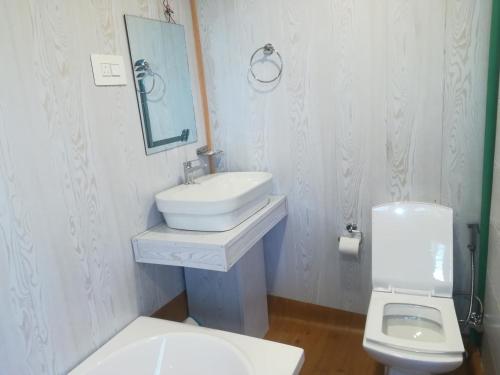 La salle de bains blanche est pourvue d'un lavabo et de toilettes. dans l'établissement House boat house of common, à Srinagar