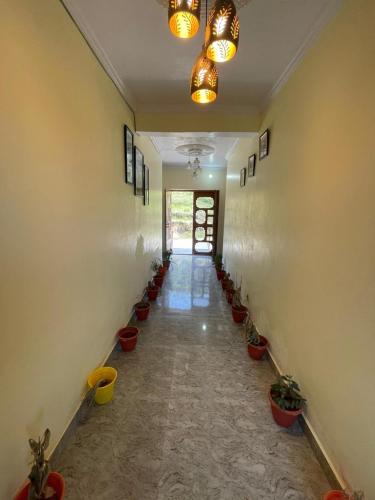 a hallway with potted plants on the walls at Hill Veda Homestay in Kanatal
