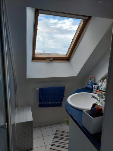 une salle de bain avec un lavabo et une fenêtre dans l'établissement Chambres d'hôtes,Chez Dom, à Thomery