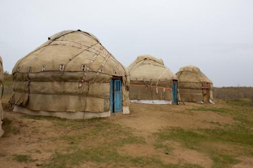 two large domes with blue doors in a field at Kyzylkum Nights Camp & Family Yurt in Nurota