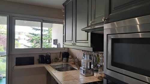 une cuisine avec un évier et un micro-ondes dans l'établissement Appartement de standing a Bailly 78870, à Bailly