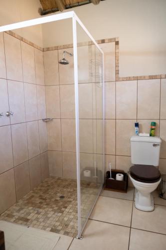 a bathroom with a shower with a toilet at La La Nathi Country Guesthouse in Harrismith