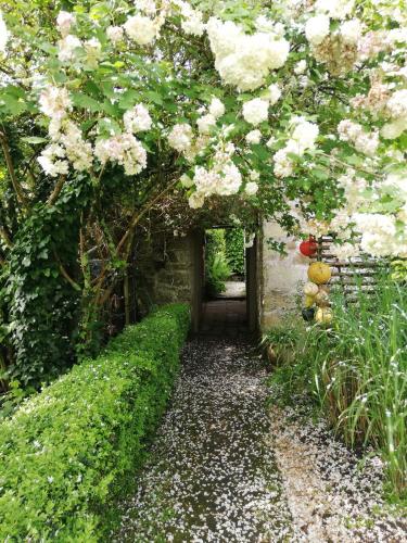a garden with a tunnel of flowers and a pathway at 690-Villa Ty Kastell in Audierne
