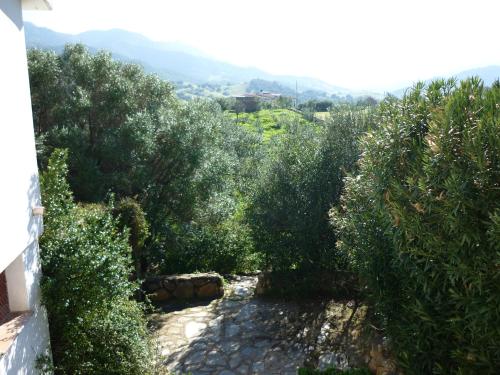 Gambar di galeri bagi Agriturismo Asara di Padru