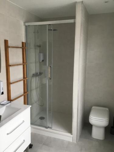 une salle de bain avec une douche avec des toilettes et un lavabo dans l'établissement Location petit fort philippe maison 5 personnes 2 chambres, à Gravelines