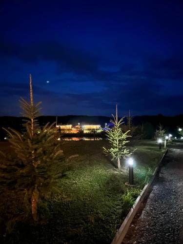 a park at night with trees and lights at Domki Nad Sanem Bachórzec 6a in Dubiecko