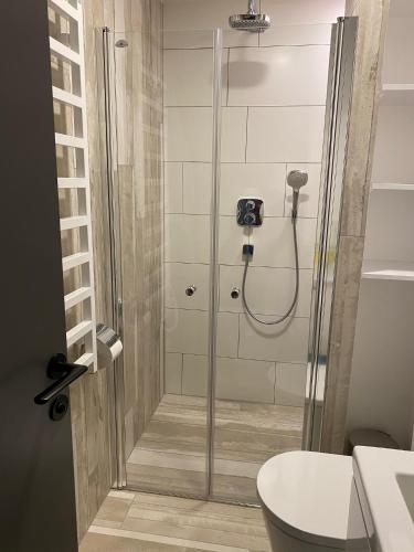 a shower with a glass door in a bathroom at Ievos apartamentai in Pervalka
