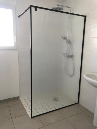 La salle de bains est pourvue d'un lavabo et d'une porte de douche en verre. dans l'établissement entre terre et mer, à Saint-Pol-de-Léon