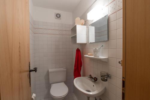 La petite salle de bains est pourvue de toilettes et d'un lavabo. dans l'établissement Chasa Praem, Scuol, à Scuol