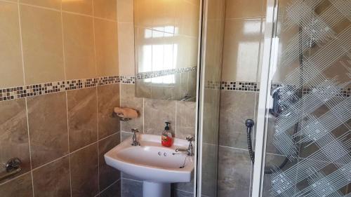 uma casa de banho com um lavatório e um chuveiro em Coral Strand Lodge em Ballyconneely