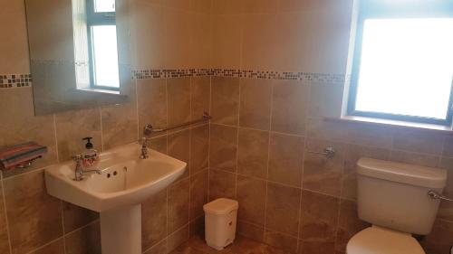 a bathroom with a sink and a toilet at Coral Strand Lodge in Ballyconneely