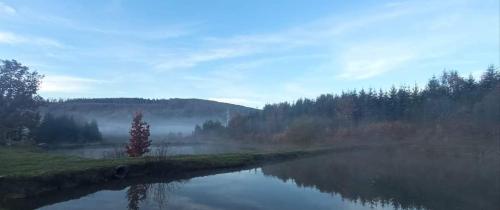 a river with fog on the water and trees at La Lacuri in Sovata