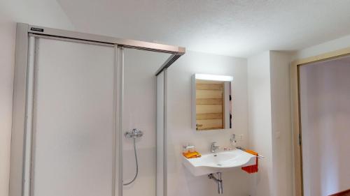 a bathroom with a shower and a sink at Chasa Samalgors in Tschlin 