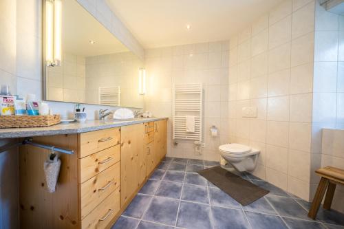 a bathroom with a toilet and a sink at Chasa Pro la Tuor in Ardez