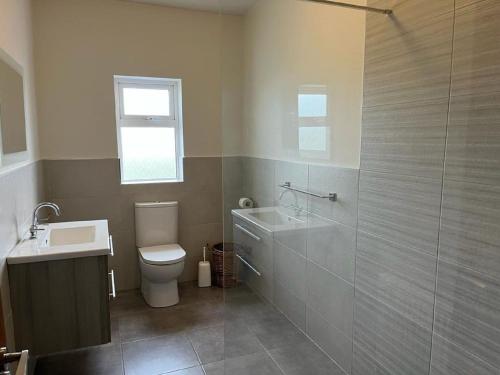 a bathroom with a shower and a toilet and a sink at Foregloss Cottage in Ballyconneely