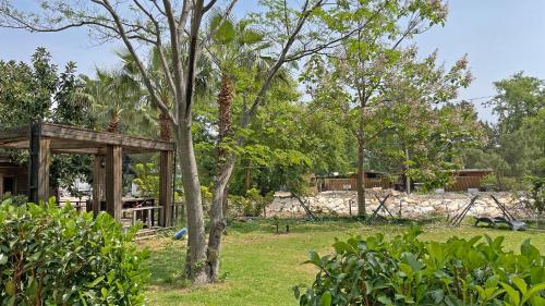 einen Garten mit einem Baum und einer Holzkonstruktion in der Unterkunft Garden Pansiyon Çıralı in Kemer