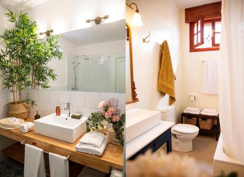 uma casa de banho com um lavatório, um WC e um espelho. em La Casa del Prado em Escalona del Prado